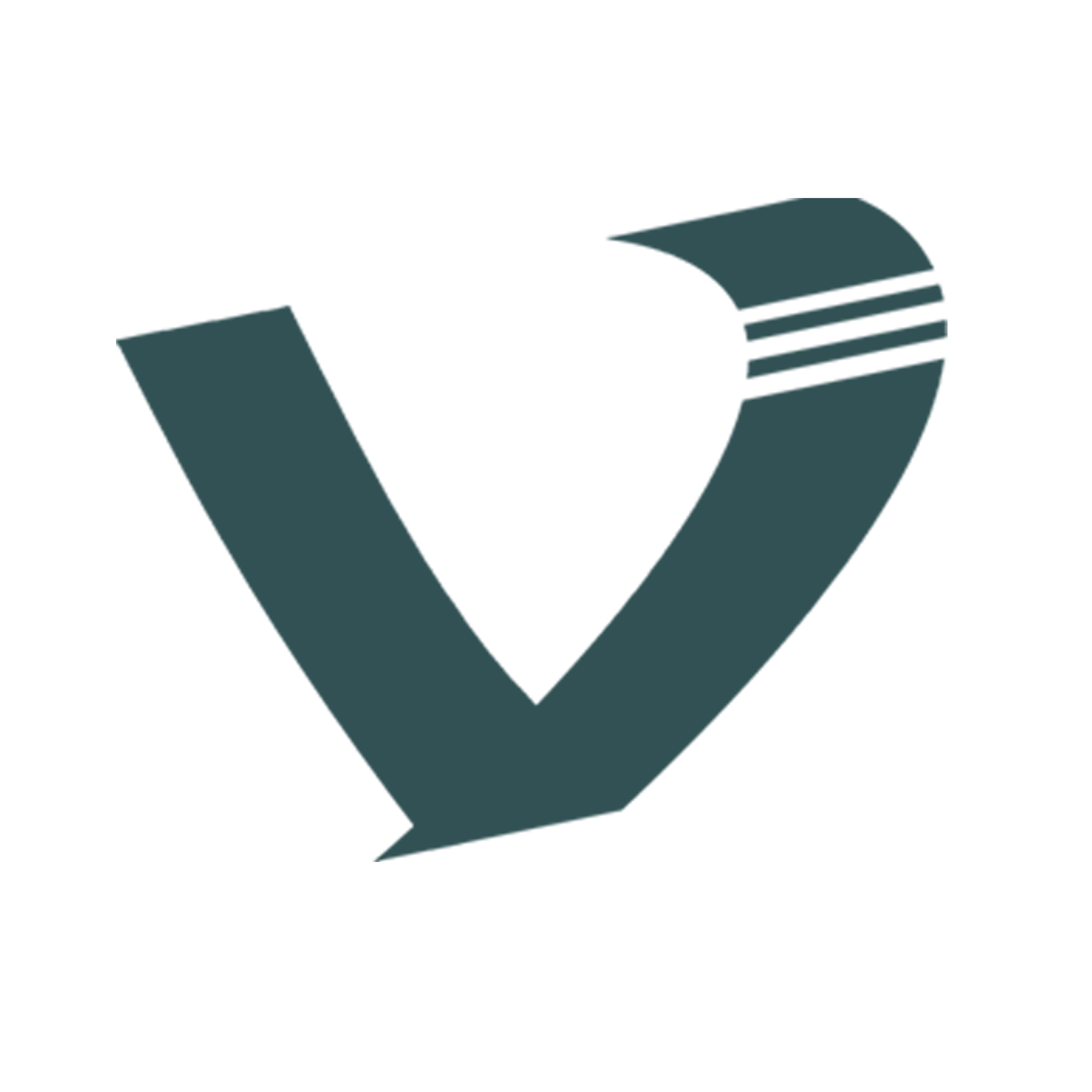 veek-logo